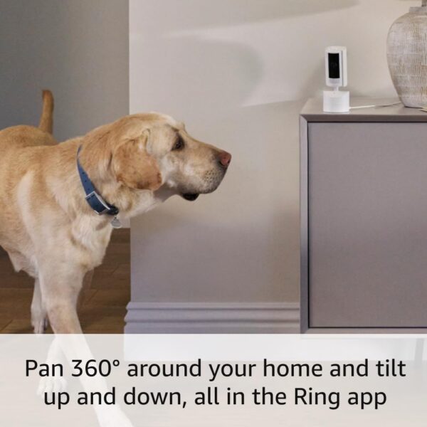 Ring Pan-Tilt Indoor Cam | See all around with 360° pan coverage, HD video, plus Two-Way Talk (2024 release) | Starlight