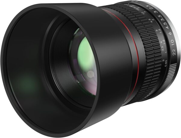 EF 85mm F1.8 Portrait Lens - Medium Telephoto Manual Focus SLR Cameras Lens for Canon EOS Rebel T Series (T8i/T7i/T7/T6/T3i/T2i/4000D/850D/SL3/SL2) & High-End DSLRs (6D Mark II/5D Mark IV/90D/80D/77D)