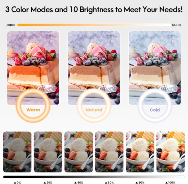 Overhead Camera Mount with Selfie Ring Light and Phone Holder, 10" LED Ring Light for Desk with Stand and Remote for iPhone,Phone Tripod with Light for Video Recording Vlog TikTok Live Stream Cooking
