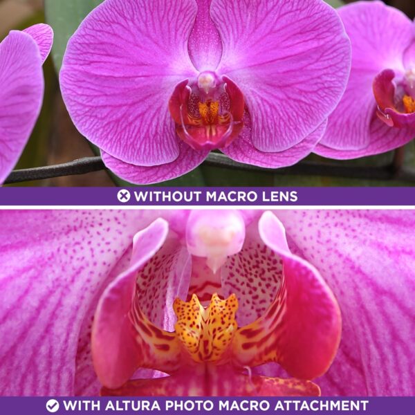 58MM 0.43x Altura Photo Professional HD Wide Angle Lens (w/Macro Portion) for Canon EOS 70D 77D 80D 90D Rebel T8i T7 T7i T6i T6s T6 SL2 SL3 DSLR Cameras